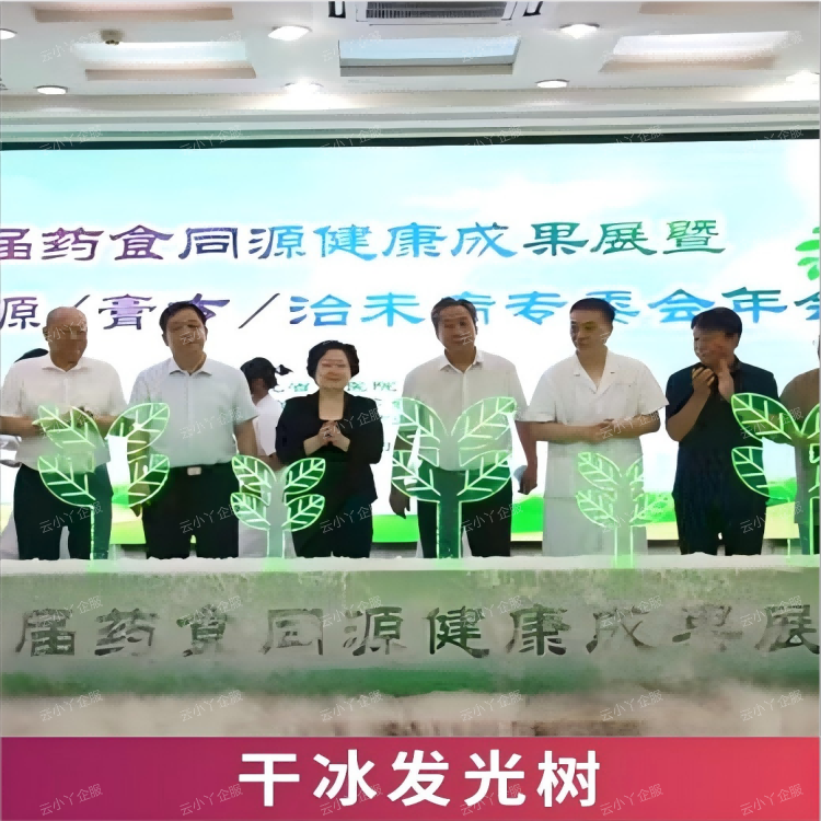 租赁-干冰发光树