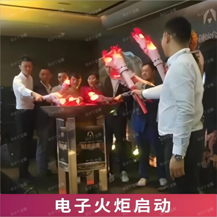 租赁-电子火炬启动