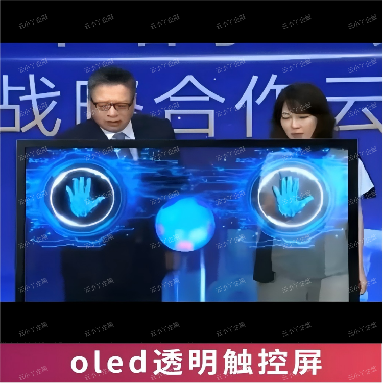 租赁-oled透明触控屏